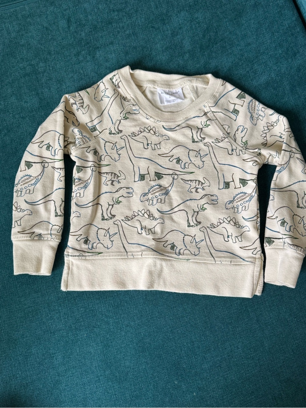 Kids Cream Dinosaur Print Long Sleeve Sweatshirt - Angel Dear